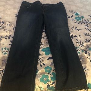 Lane Bryant Genius Fit Jeans